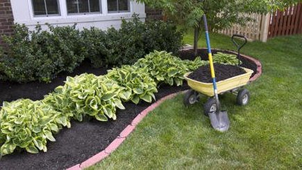 Black mulch in a wheelbarrow and in a garden